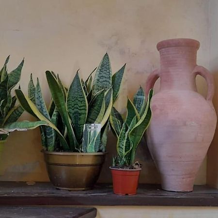 Alimat Guesthouse Catania Bagian luar foto