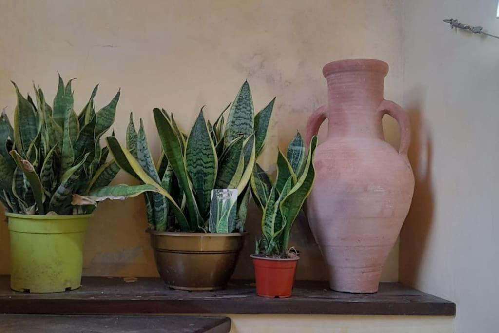 Alimat Guesthouse Catania Bagian luar foto